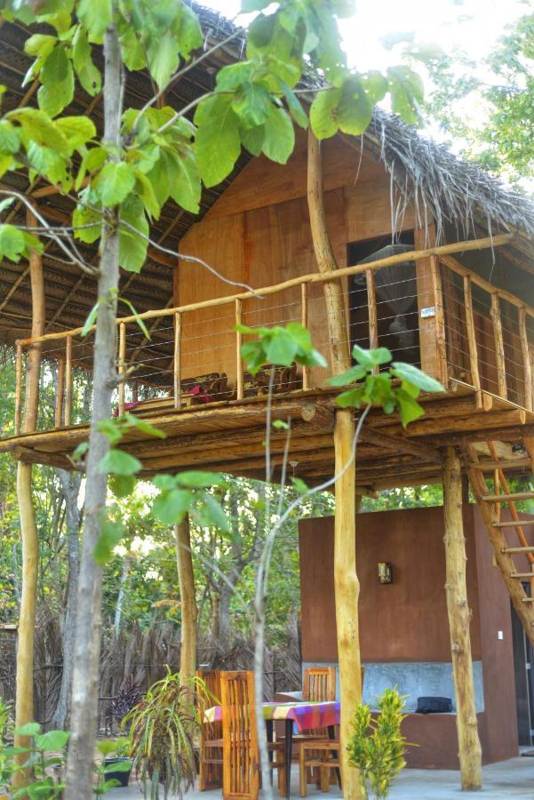 Pidurangala View Treehouse Daire Sigiriya Dış mekan fotoğraf
