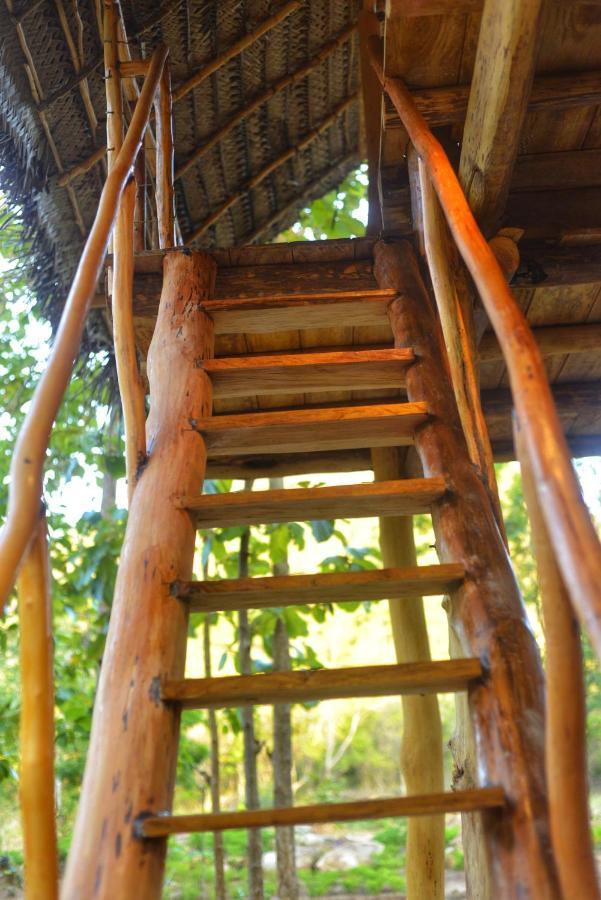 Pidurangala View Treehouse Daire Sigiriya Dış mekan fotoğraf