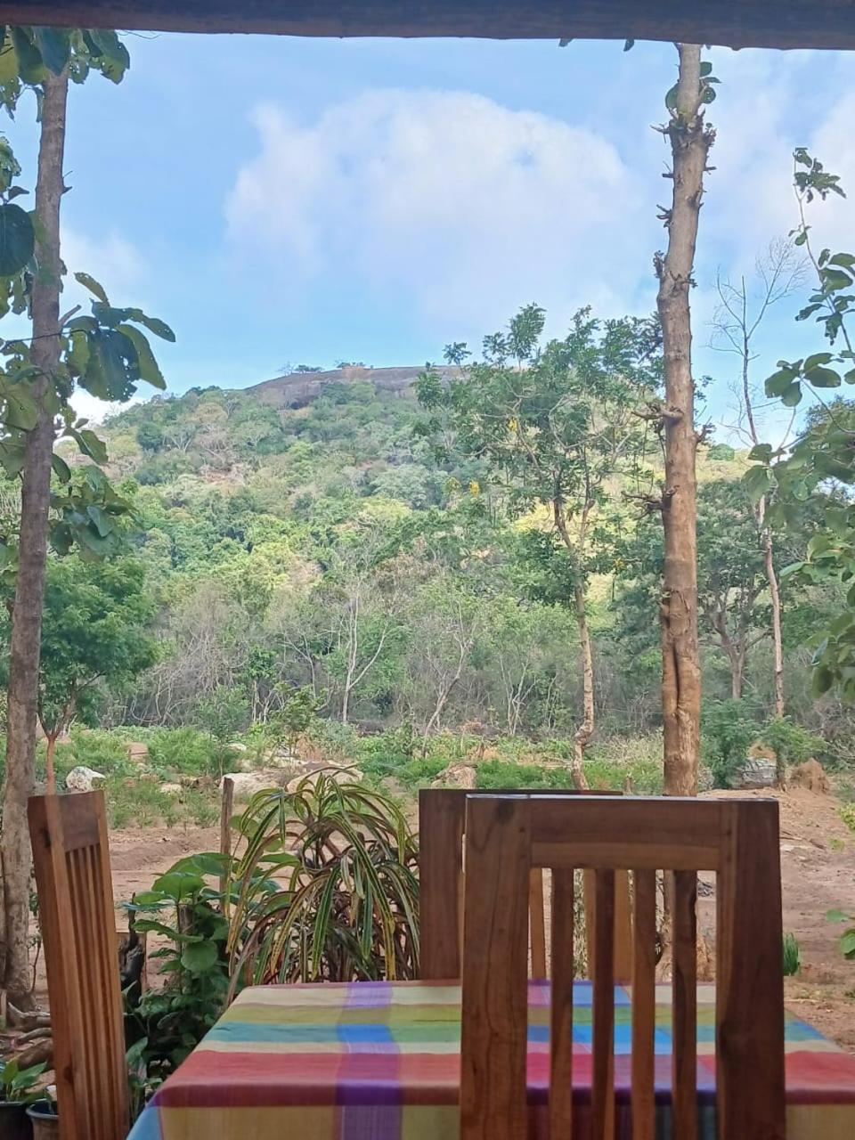 Pidurangala View Treehouse Daire Sigiriya Dış mekan fotoğraf