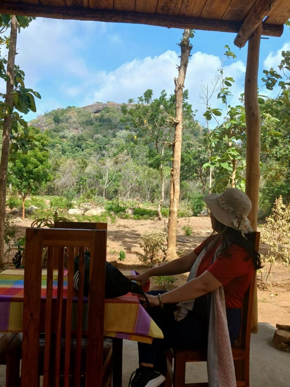 Pidurangala View Treehouse Daire Sigiriya Dış mekan fotoğraf