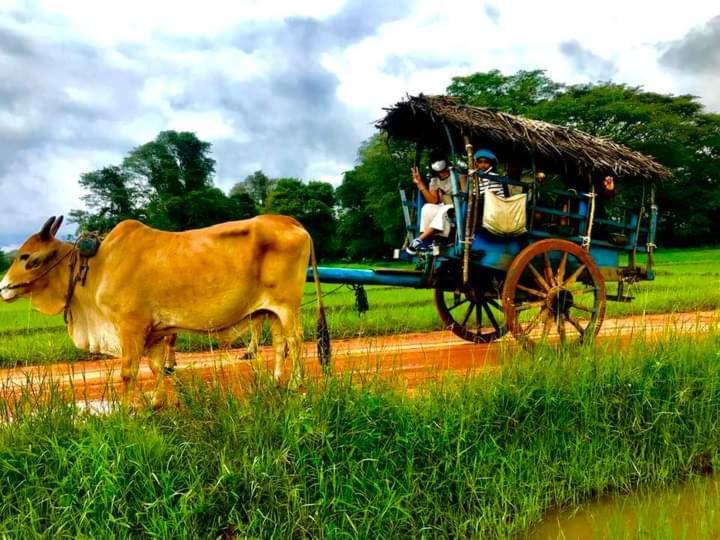 Pidurangala View Treehouse Daire Sigiriya Dış mekan fotoğraf