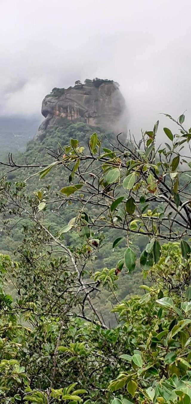 Pidurangala View Treehouse Daire Sigiriya Dış mekan fotoğraf
