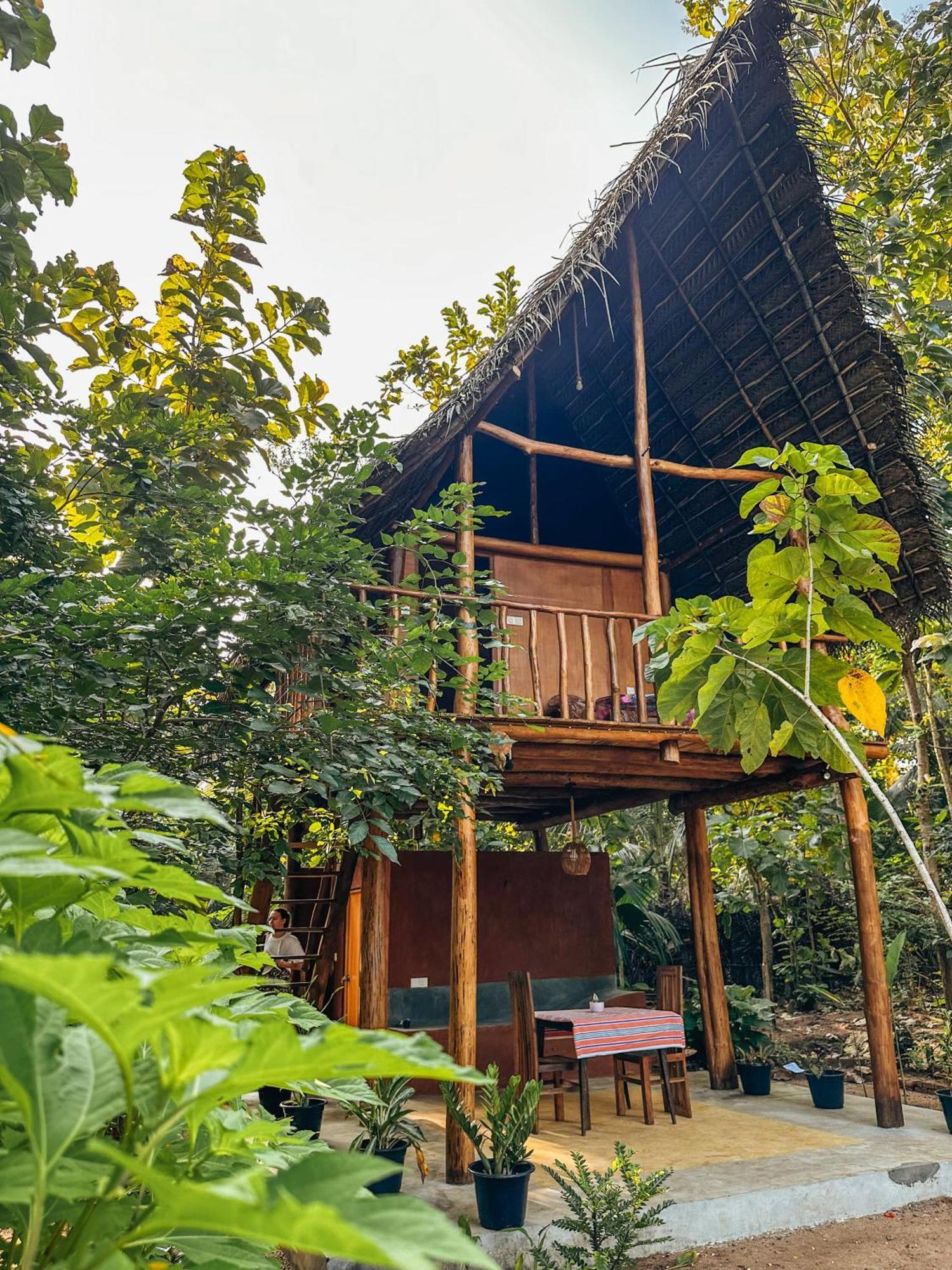 Pidurangala View Treehouse Daire Sigiriya Dış mekan fotoğraf