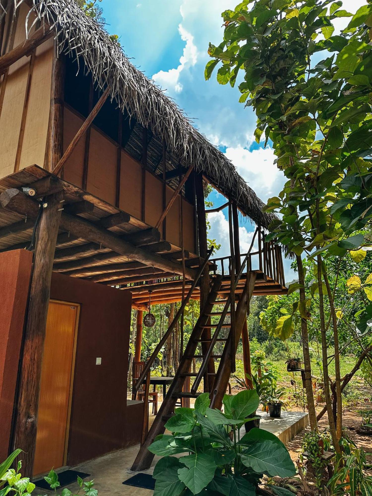 Pidurangala View Treehouse Daire Sigiriya Dış mekan fotoğraf
