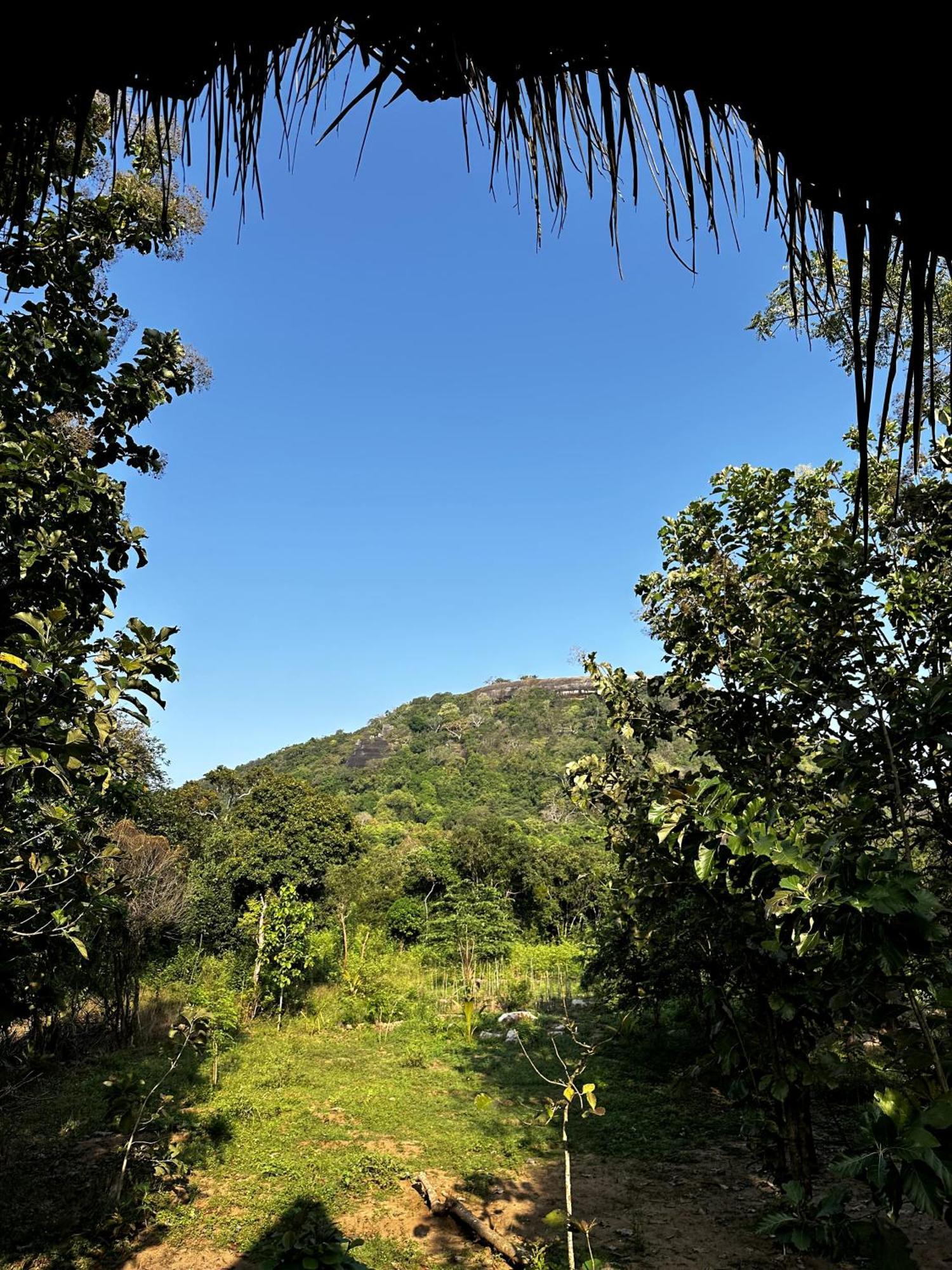 Pidurangala View Treehouse Daire Sigiriya Dış mekan fotoğraf