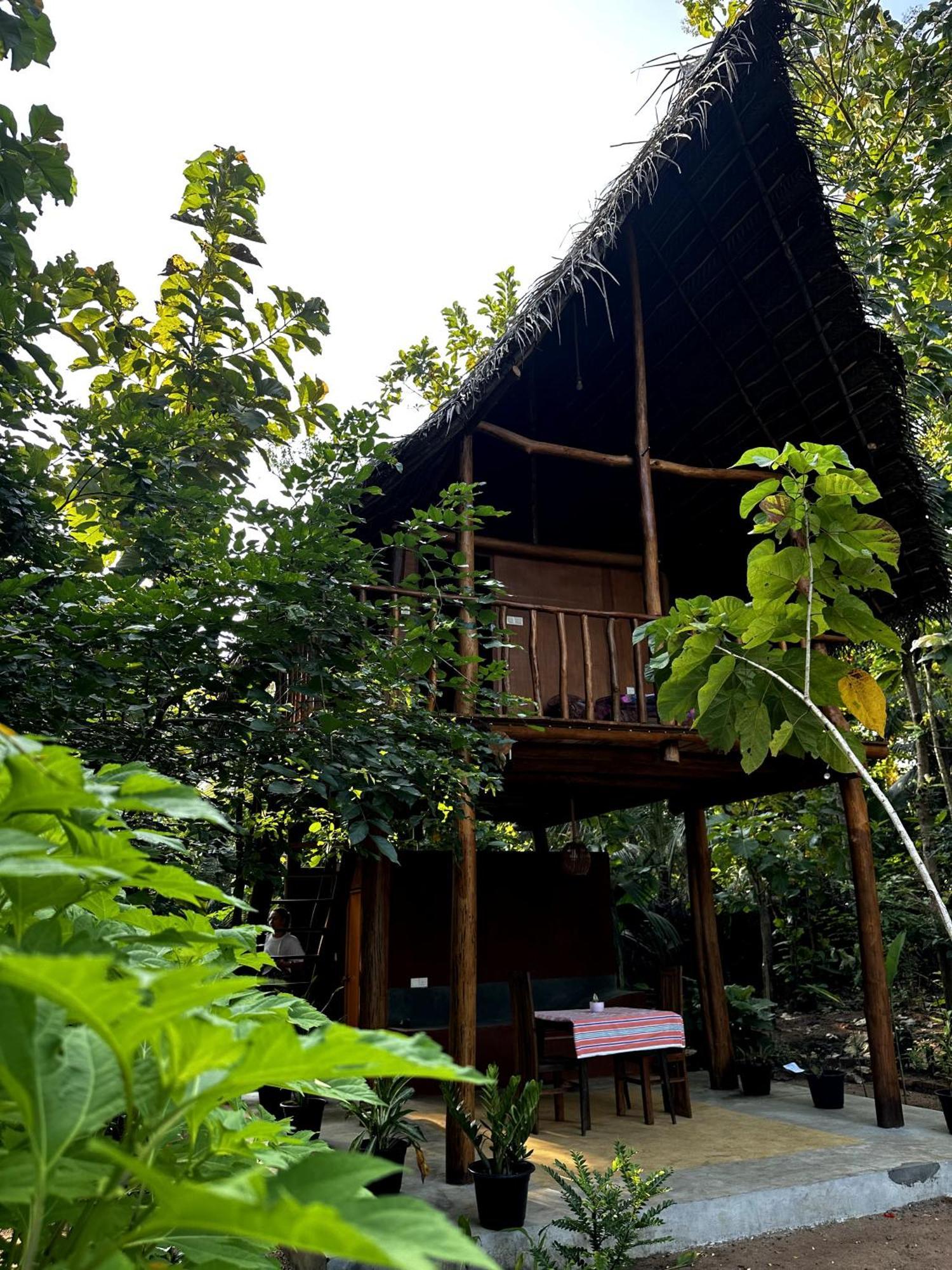Pidurangala View Treehouse Daire Sigiriya Dış mekan fotoğraf