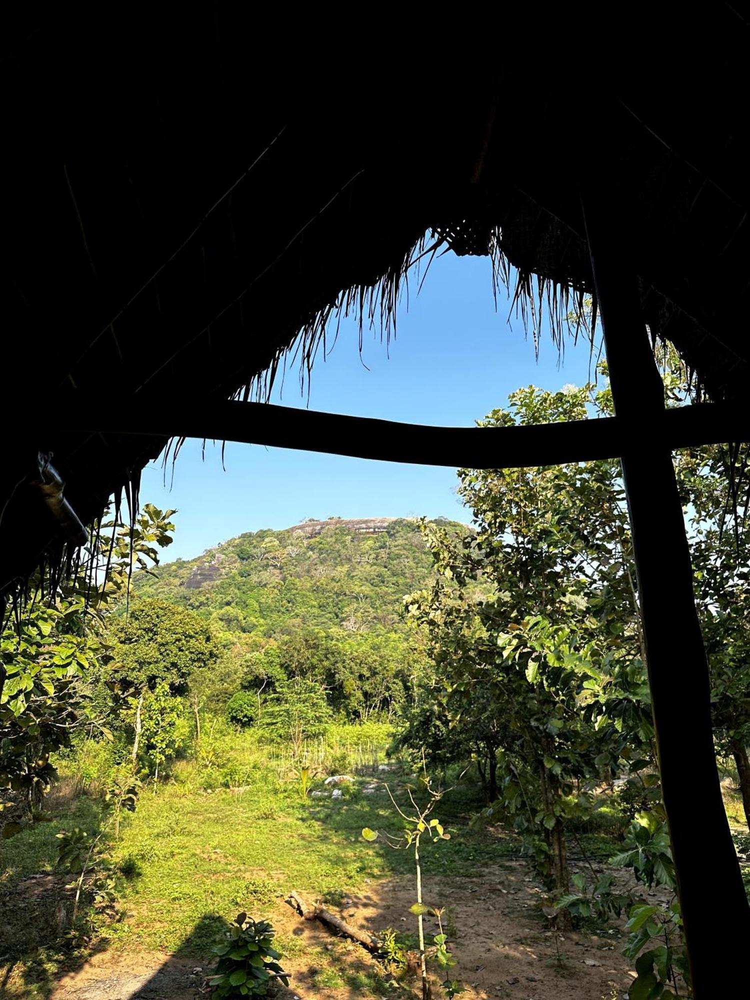 Pidurangala View Treehouse Daire Sigiriya Dış mekan fotoğraf