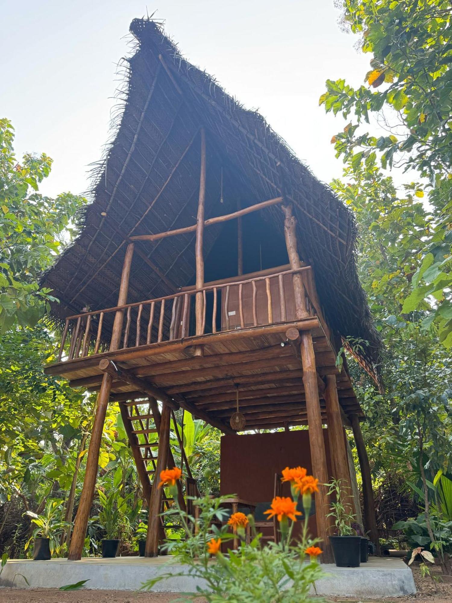 Pidurangala View Treehouse Daire Sigiriya Dış mekan fotoğraf