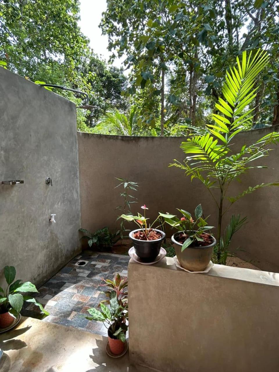 Pidurangala View Treehouse Daire Sigiriya Dış mekan fotoğraf